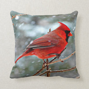 Red Cardinal Cushion