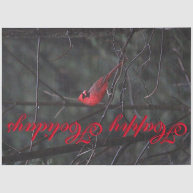 Red Cardinal Designer Tissue Paper (Front)