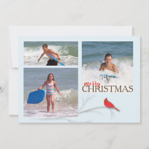 Red Cardinal Double Sided MULTI Photo Card