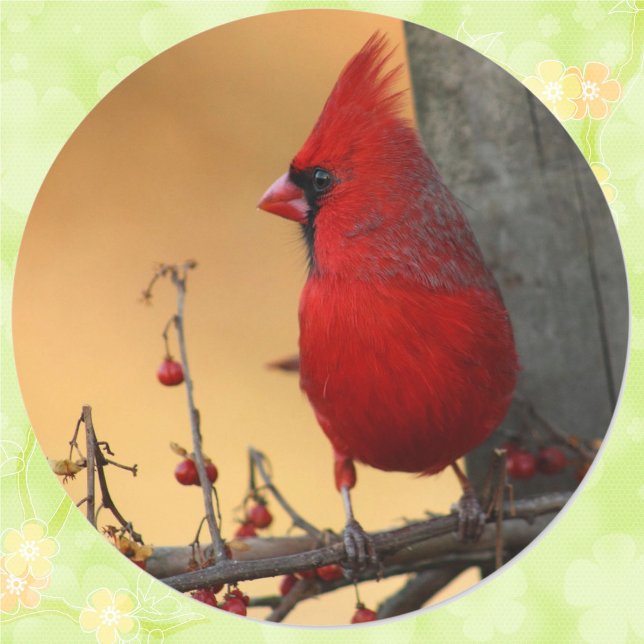 Red Cardinal Envelope Seal Sticker (Creator Uploaded)