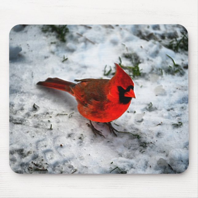 Red Cardinal Feathers and Plumage Mouse Mat (Front)