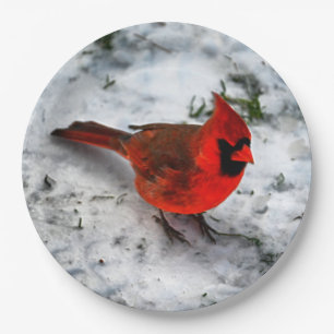 Red Cardinal Feathers and Plumage Paper Plate
