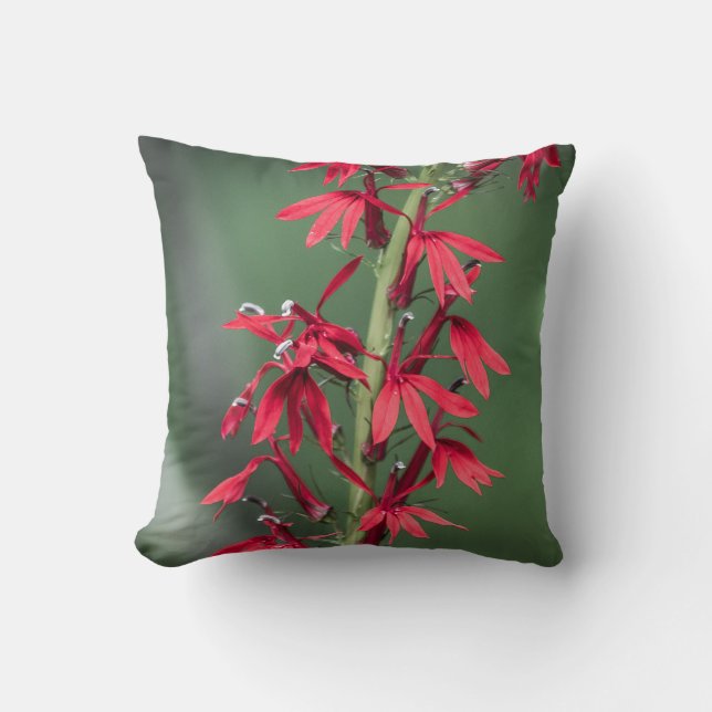 Red Cardinal Flower Pillow (Front)