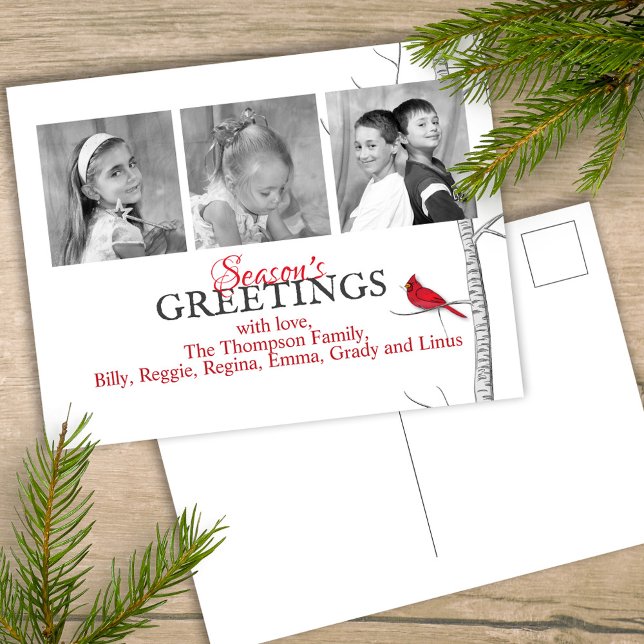 Red Cardinal holiday Christmas Woodland 3 Photo Postcard (Simple winter botanical red cardinal postcard with a minimalist design.)