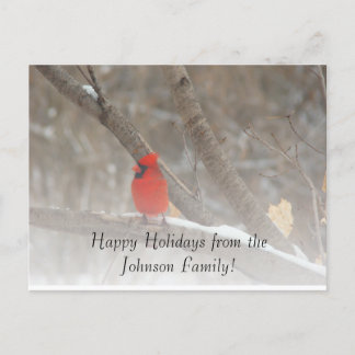 Red Cardinal Holiday Postcard