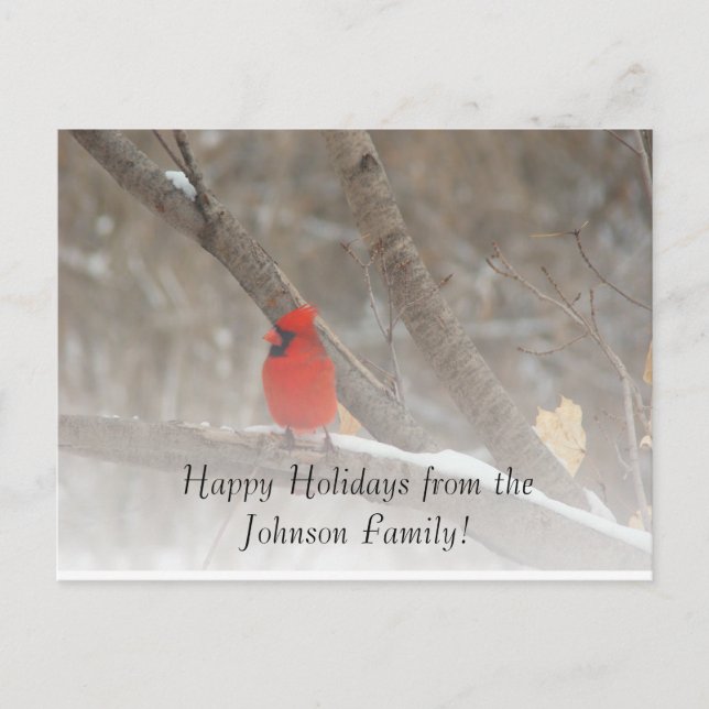 Red Cardinal Holiday Postcard (Front)