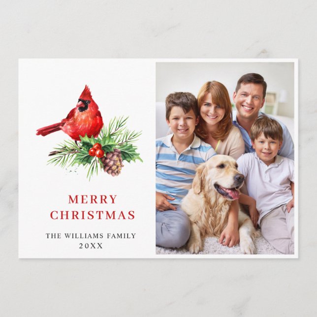 Red Cardinal Holly Berry Christmas Greeting PHOTO Holiday Card (Front)