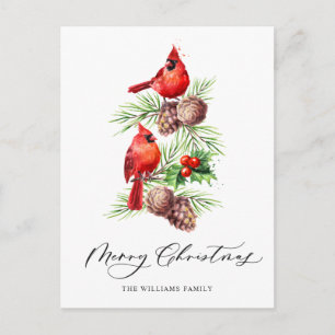 Red Cardinal Holly Berry Christmas Holiday Postcard