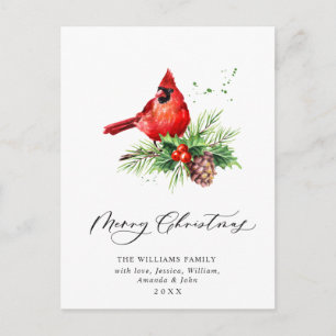 Red Cardinal Holly Berry Christmas Holiday  Postcard