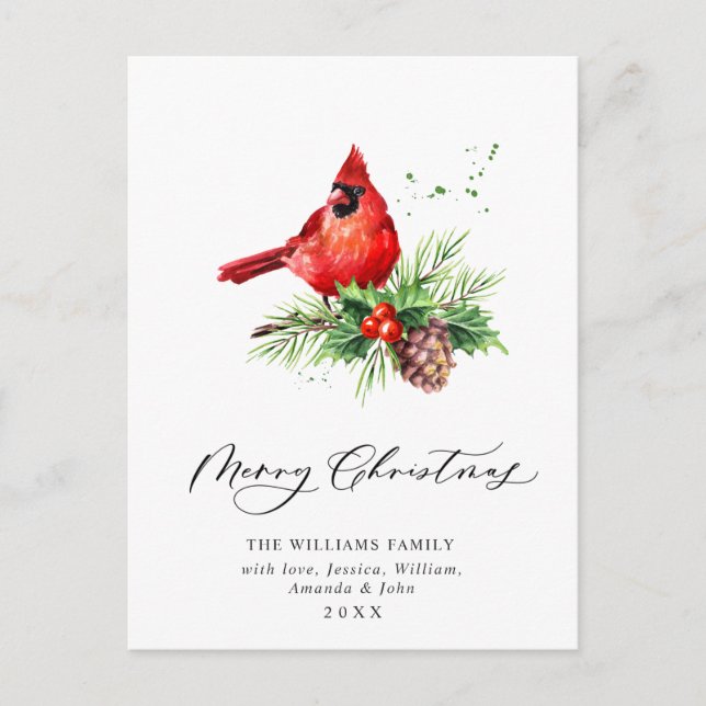 Red Cardinal Holly Berry Christmas Holiday  Postcard (Front)