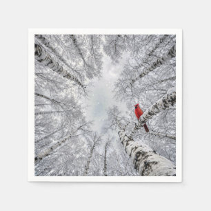 Red Cardinal In a Winter White Birch Forest Napkin