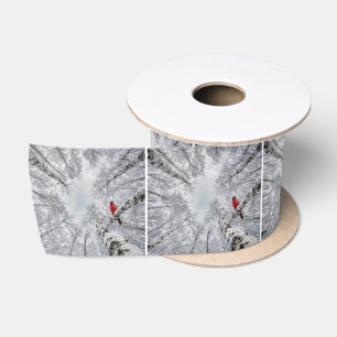 Red Cardinal In a Winter White Birch Forest Satin Ribbon