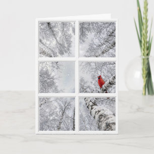 Red Cardinal In a Winter Window Card