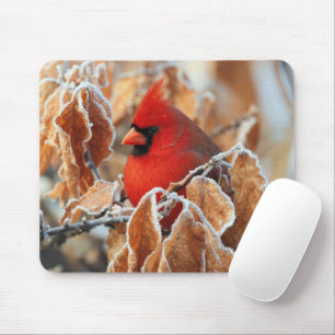 Red Cardinal in Frosty Autumn Leaves Mouse Mat