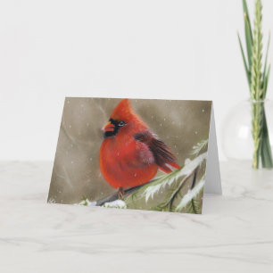 Red Cardinal in snow christmas card
