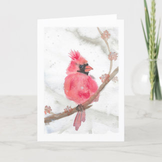 Red Cardinal in Snow Holiday Card