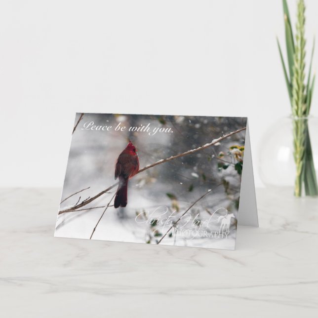 Red Cardinal in snow PHOTO Christmas Card (Front)