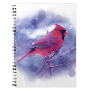 Red Cardinal in the Blizzard Notebook