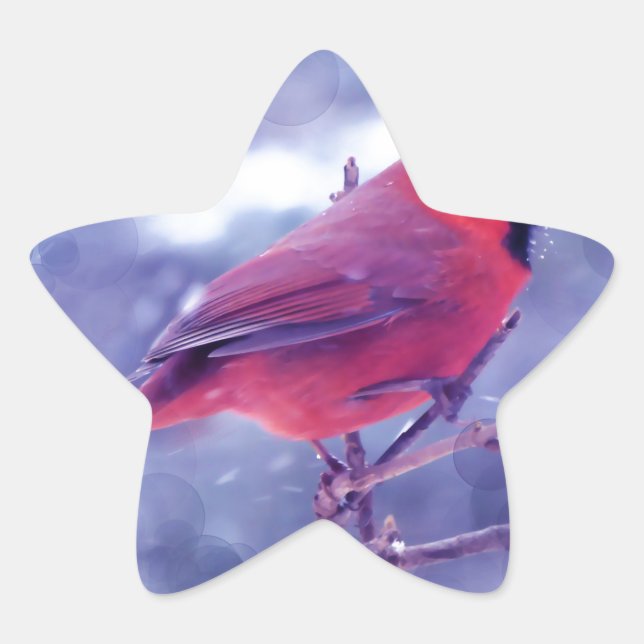 Red Cardinal in the Blizzard Star Sticker (Front)