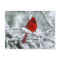 Red Cardinal in the Snow Postcard