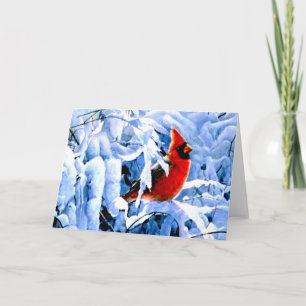 Red Cardinal In the Winter Snow Holiday Card