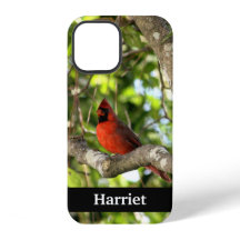 Red Cardinal in Tree Personalised