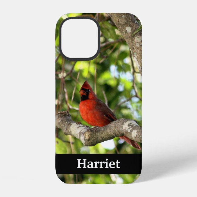 Red Cardinal in Tree Personalised iPhone Case (Back)