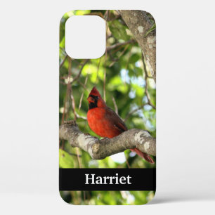 Red Cardinal in Tree Personalized iPhone 12 Case
