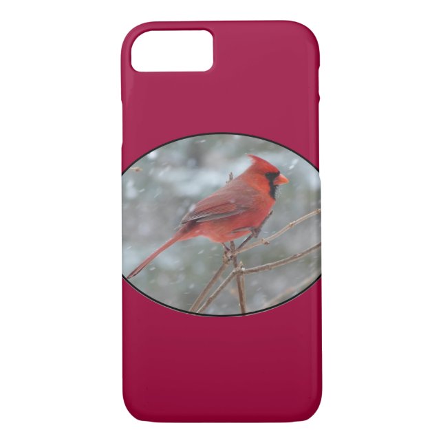Red cardinal in Winter Case-Mate iPhone Case (Back)