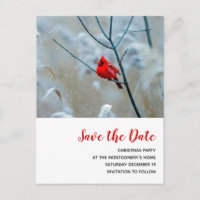 Red Cardinal in Winter Christmas Save the Date
