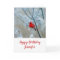 Red Cardinal in Winter Nature Photo Birthday