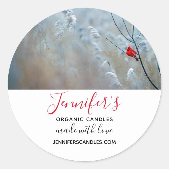 Red Cardinal in Winter Nature Photo Business Classic Round Sticker (Front)
