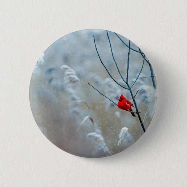 Red Cardinal in Winter Nature Photo Christmas 6 Cm Round Badge (Front)