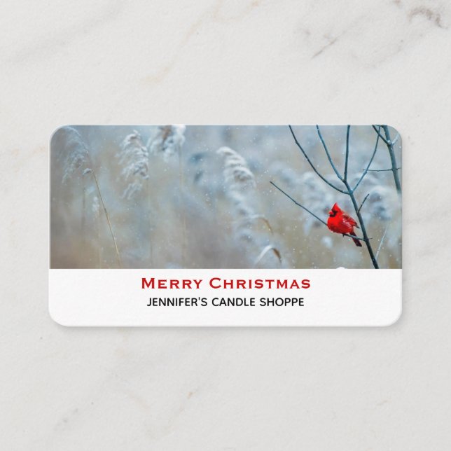 Red Cardinal in Winter Nature Photo Christmas Business Card (Front)