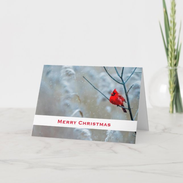 Red Cardinal in Winter Nature Photo Christmas Card (Front)