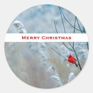 Red Cardinal in Winter Nature Photo Christmas Classic Round Sticker
