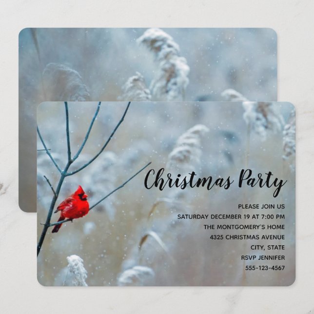 Red Cardinal in Winter Nature Photo Christmas Invitation (Front/Back)