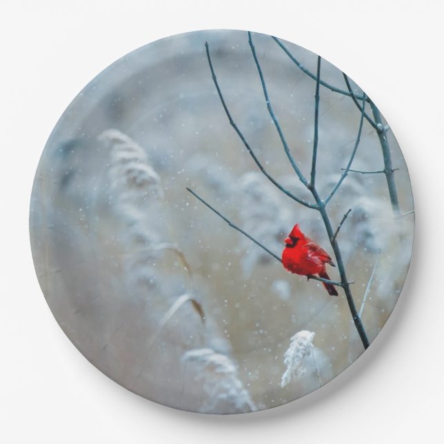Red Cardinal in Winter Nature Photo Christmas Paper Plate (Front)