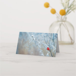 Red Cardinal in Winter Nature Photo Christmas Place Card