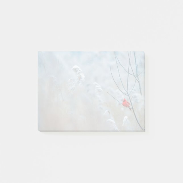 Red Cardinal in Winter Nature Photo Christmas Post-it Notes (Front)