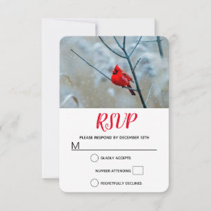 Red Cardinal in Winter Nature Photo Christmas RSVP Card