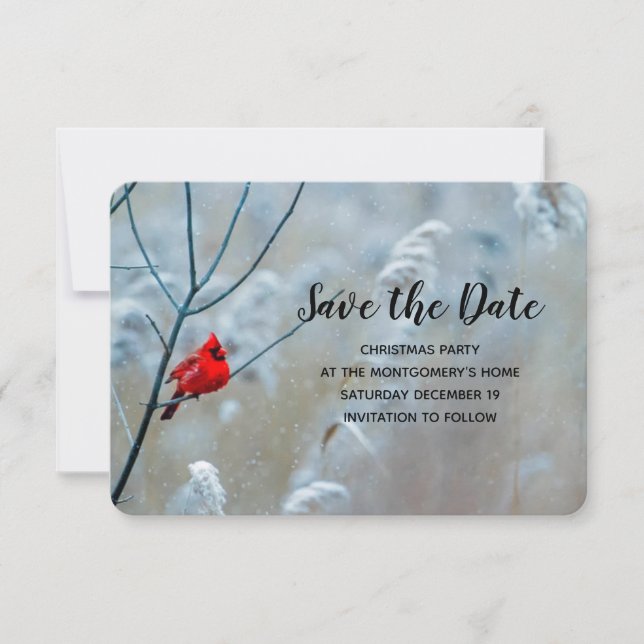 Red Cardinal in Winter Nature Photo Christmas Save The Date (Front)