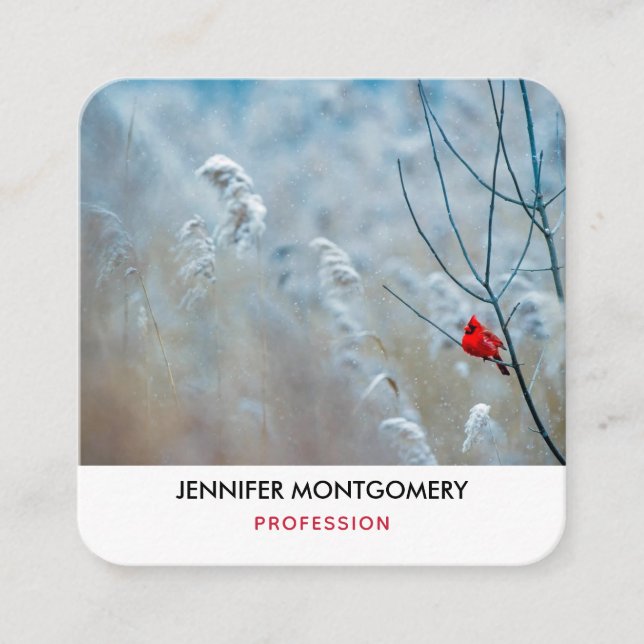Red Cardinal in Winter Nature Photo Christmas Square Business Card (Front)