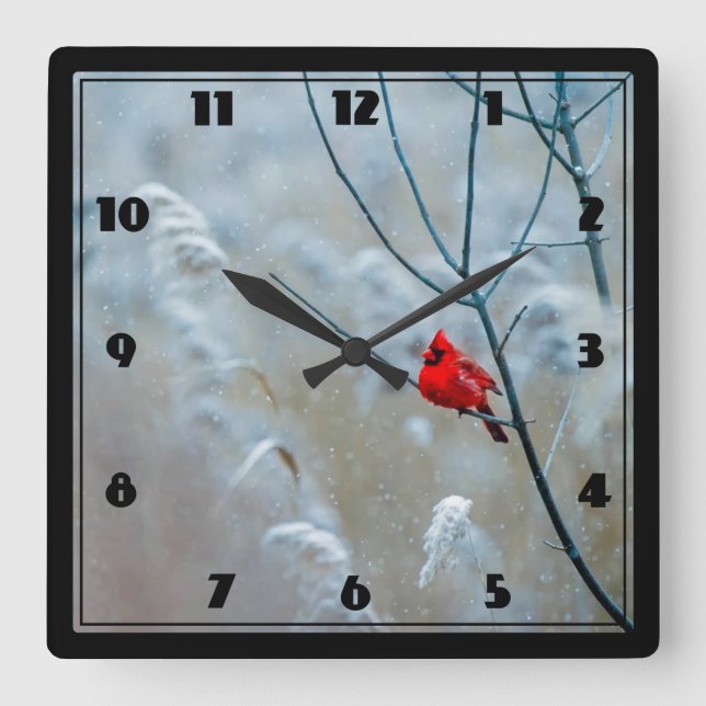 Red Cardinal in Winter Nature Photo Christmas Square Wall Clock (Front)