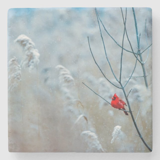 Red Cardinal in Winter Nature Photo Christmas Stone Coaster (Front)