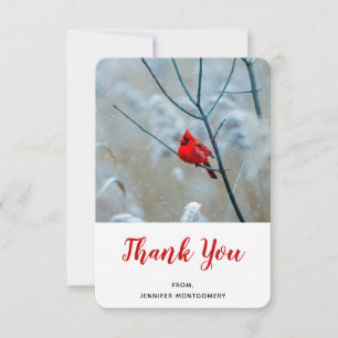 Red Cardinal in Winter Nature Photo Christmas Thank You Card