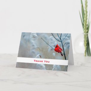 Red Cardinal in Winter Nature Photo Thank You Card