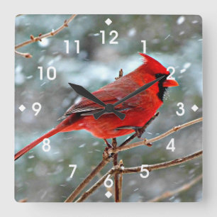 Red Cardinal in Winter Snow Square Wall Clock