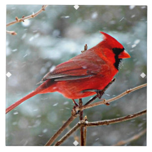 Red Cardinal in Winter Snow Tile