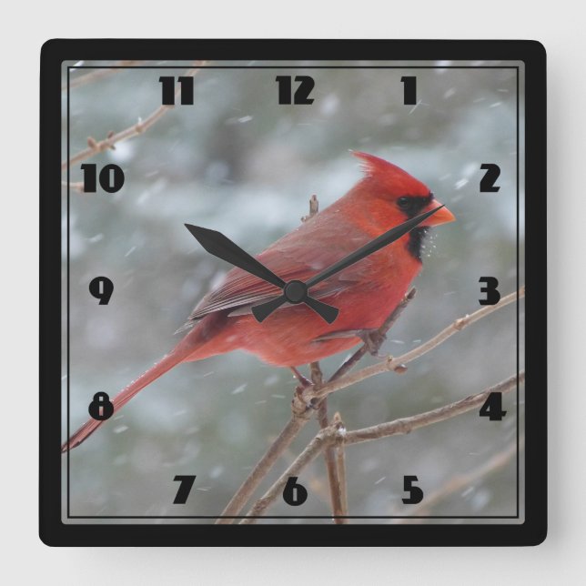 Red cardinal in Winter Square Wall Clock (Front)